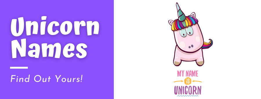 200+ Cool Unicorn Names : Find out what yours is!